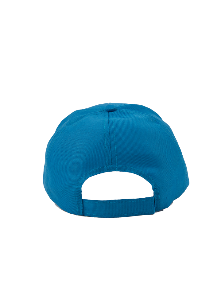 CP0528